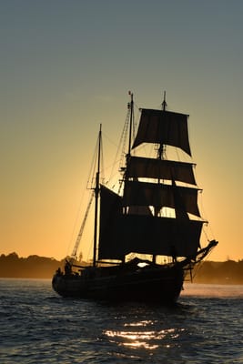 DSC_0984.JPG