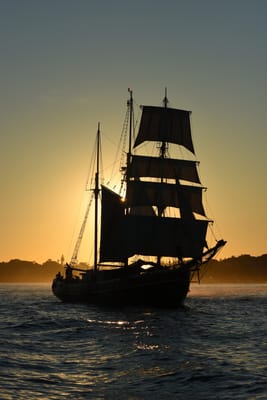DSC_0988.JPG
