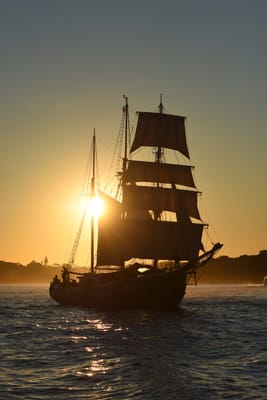 DSC_0989.JPG