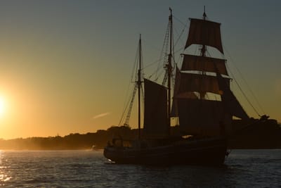 DSC_0992.JPG