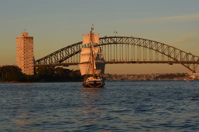 DSC_0993.JPG