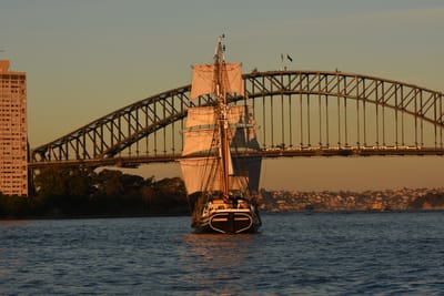 DSC_0994.JPG