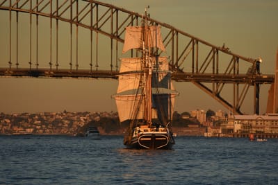 DSC_0997.JPG