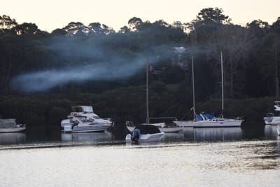DSC_1006.JPG