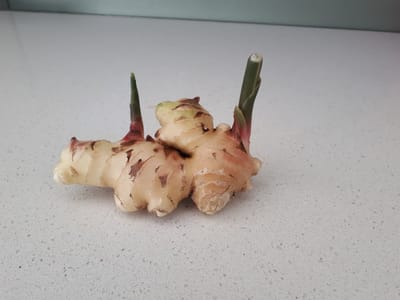 20180326_154557.jpg