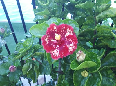20180326_155033.jpg