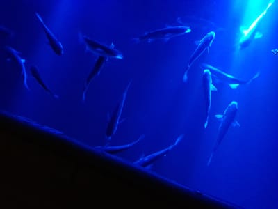20180324_222042.jpg