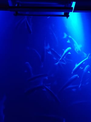 20180324_222110.jpg