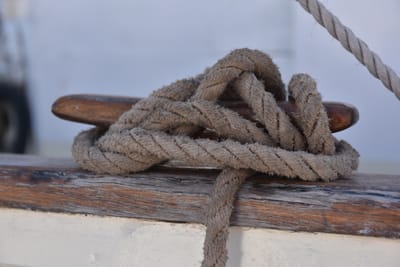 DSC_3805.JPG