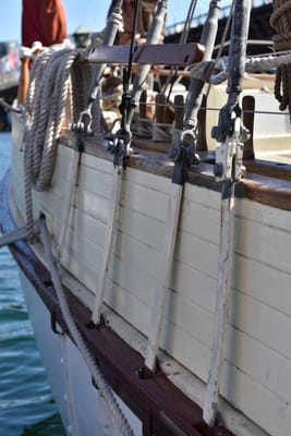 DSC_3806.JPG