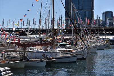 DSC_3813.JPG