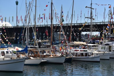 DSC_3815.JPG
