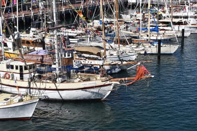 DSC_3817.JPG