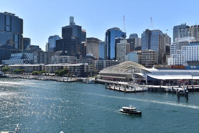 DSC_3819.JPG