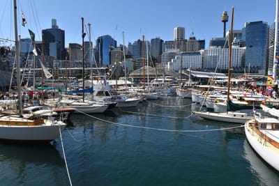 DSC_3846.JPG