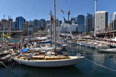 DSC_3847.JPG