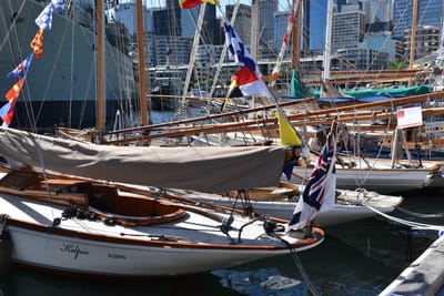 DSC_3851.JPG