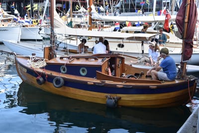 DSC_3856.JPG