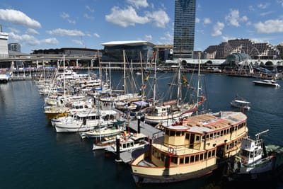 DSC_3890.JPG