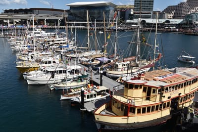 DSC_3891.JPG