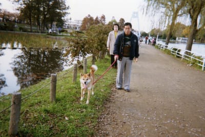Papa086.jpg
