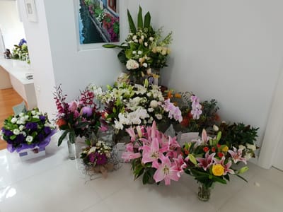 20181120_084955.jpg