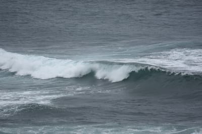 DSC_0527.JPG