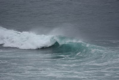 DSC_0528.JPG