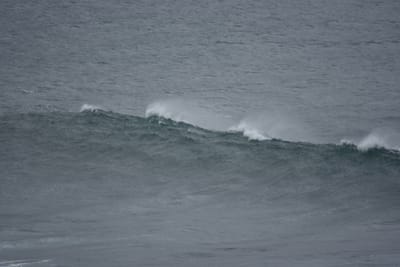 DSC_0530.JPG