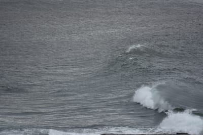 DSC_0531.JPG