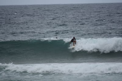 DSC_0534.JPG