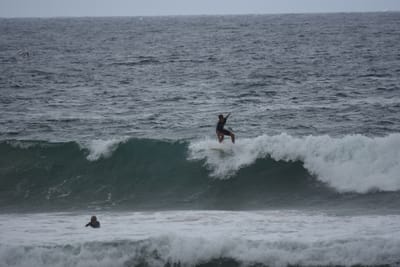 DSC_0536.JPG