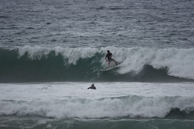 DSC_0537.JPG