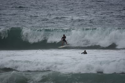 DSC_0538.JPG