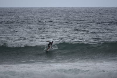DSC_0540.JPG