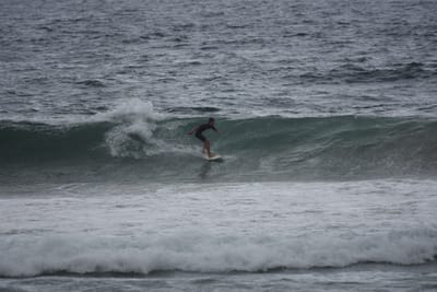 DSC_0541.JPG