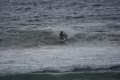 DSC_0544.JPG