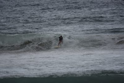 DSC_0545.JPG