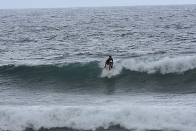 DSC_0557.JPG