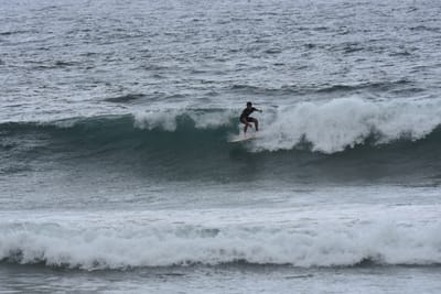 DSC_0558.JPG