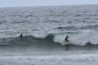 DSC_0559.JPG