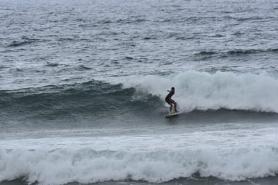 DSC_0560.JPG