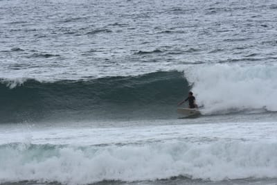 DSC_0561.JPG