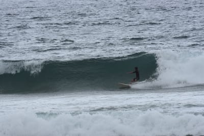 DSC_0562.JPG
