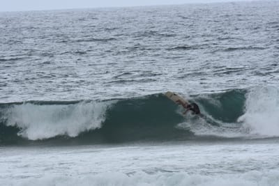 DSC_0563.JPG