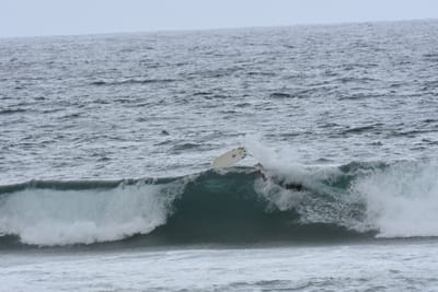 DSC_0564.JPG