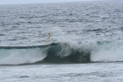 DSC_0565.JPG