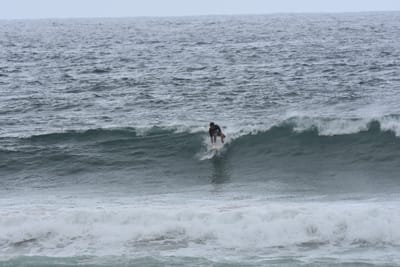 DSC_0567.JPG