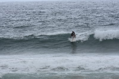 DSC_0568.JPG