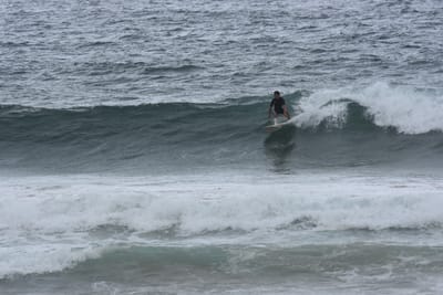 DSC_0569.JPG